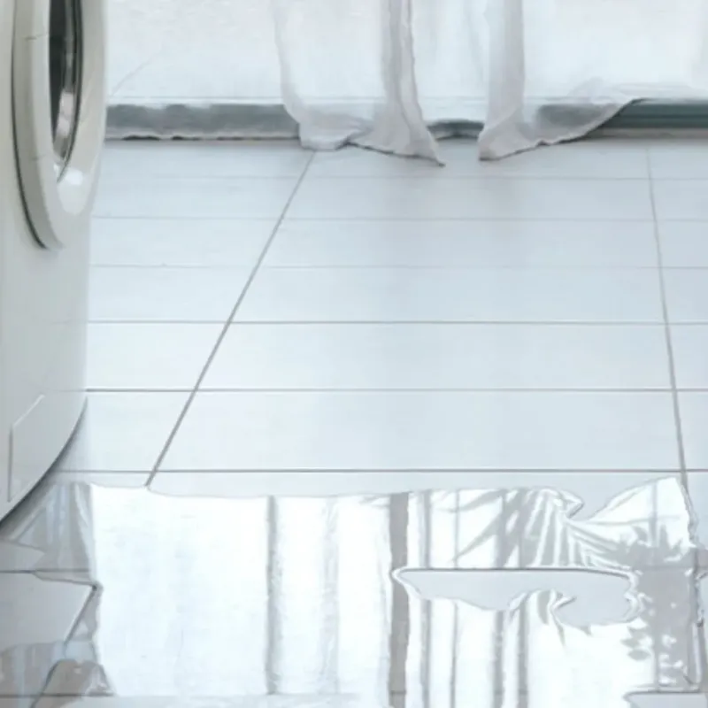 Appliance Leak Cleanup in Wright City, MO