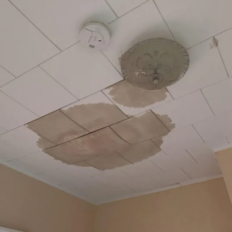 Ceiling Water Damage Repair in Wright City, MO